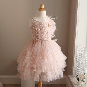 Tutu Du Monde Pink Tutu Dress Nico Blush Party Portrait Flower Girl NWT